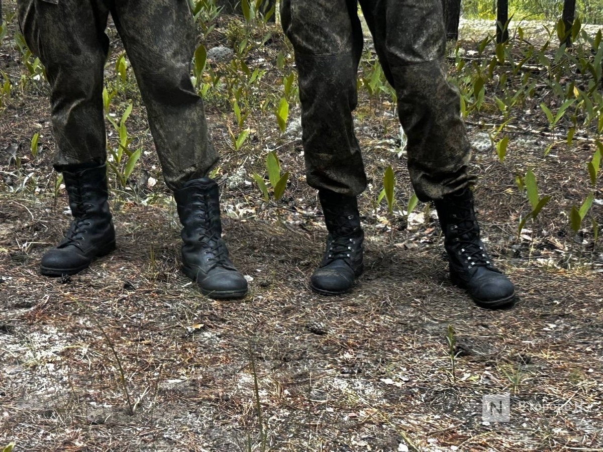 Призывников из Нижегородской области смогут заочно освобождать от службы - фото 1