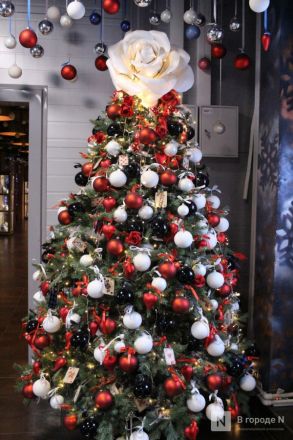 Матрешки, кони и сотни огней: карта самых атмосферных новогодних локаций &mdash; 2026 Нижнего Новгорода - фото 56