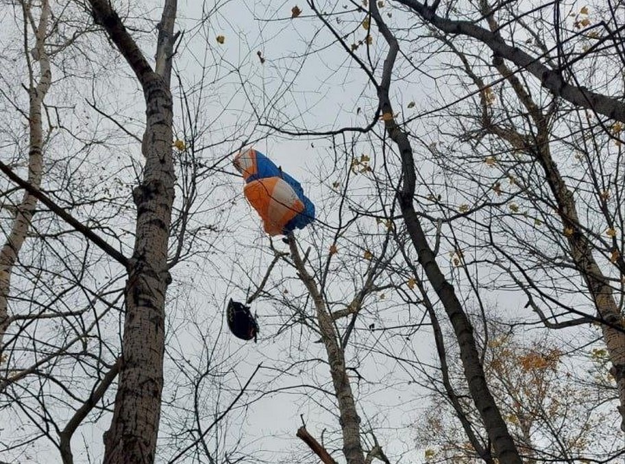 Нижегородский парапланерист врезался в дерево в парке &laquo;Швейцария&raquo; - фото 1